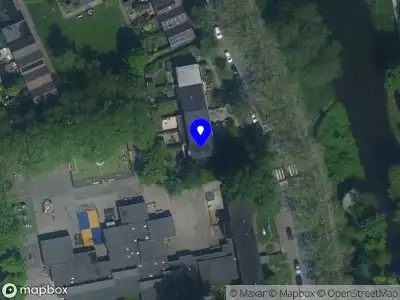 Flowers From Holland