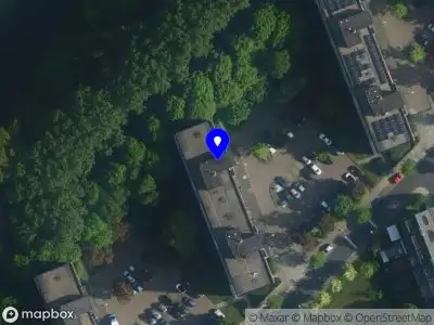 Nieuw bedrijf CG Horses