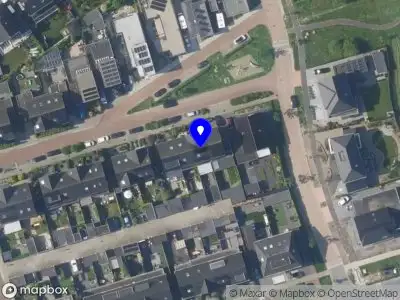 St. Beheer Mandeligheid Platina-Elementen