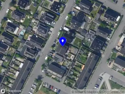 Natural Beauty Treatment