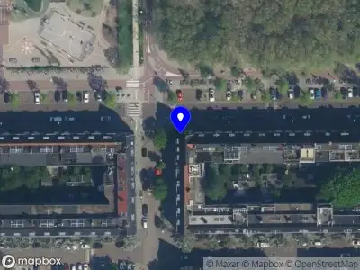 Heavenly Star Acupuncture