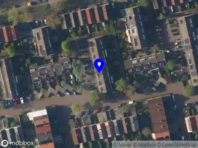 Nienke van Oeveren coaching