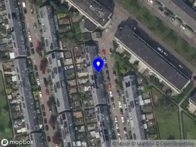 Papillon Opvoeden en Opgroeien Rotterdam