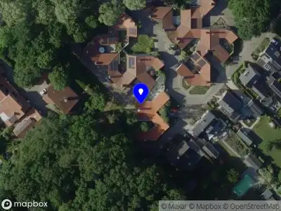 tontindemansadviezen