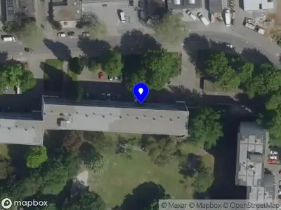 Rosa van Ginneke, gitariste