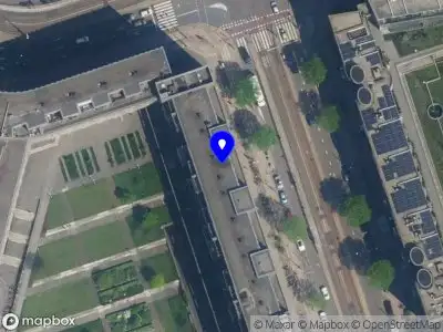 Nilüfer Advies Amsterdam