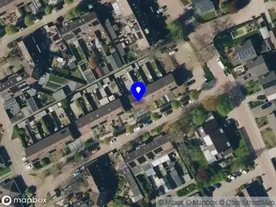 Stichting New Life for Animals Roemenië