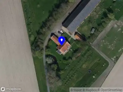 Purperzwaluw Sint Philipsland