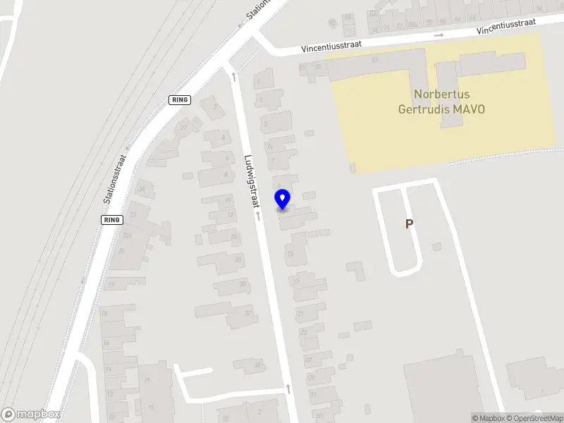 Roks financieel inzicht