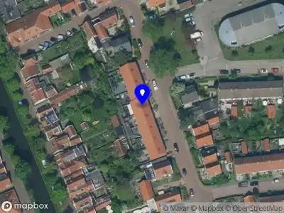 Janneke Knispel Art , illustratie en decoratie