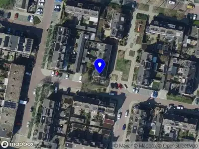 Nieuw bedrijf Bloei! Praktijk voor kinesiologie