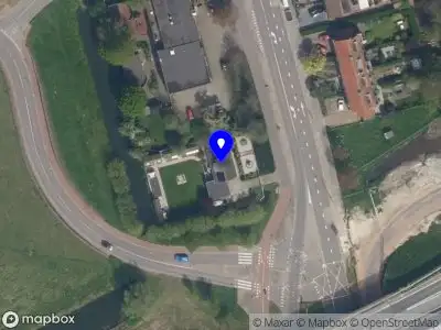 International Pigeon Auctions