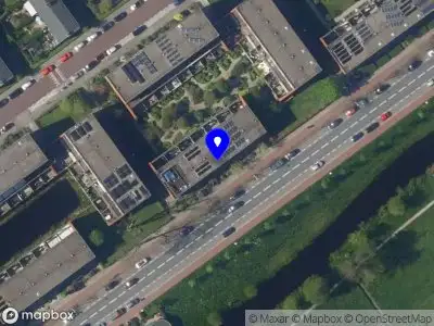 Elsa Razborsek International