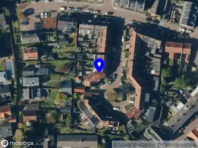 Catvise Oosterbeek