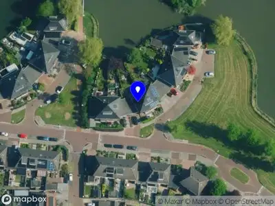 Online Business Pros