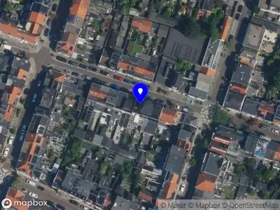 Catelijne Elzes Haarlem