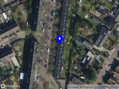 Nieuw bedrijf Marleen van de Velde studio