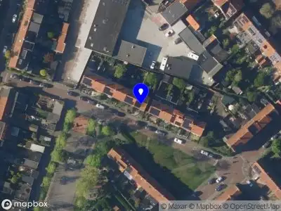 IQ coach Esther Polak