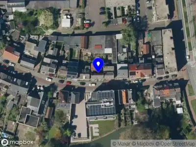 Rosa Carmel Vrij Tiel