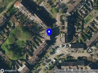 Bosman Omgevingszaken