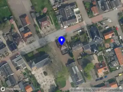 Boomstam enzo Hagestein