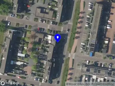 Nieuw bedrijf Pachira