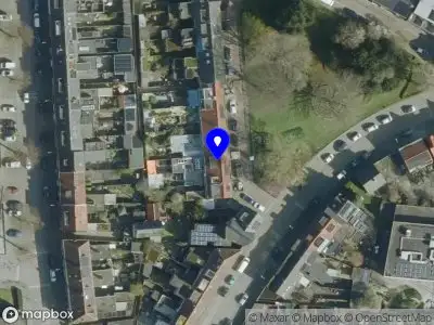 Social Media Mannetje