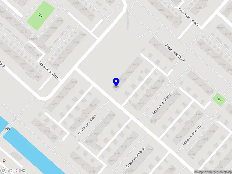 NFL Taxi Service Hoofddorp
