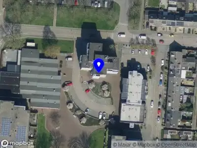 Polski Winkel Oliwia