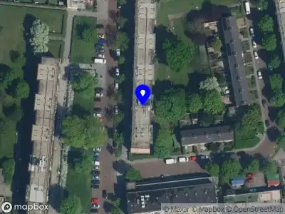 Arboreties Boomverzorging Haarlem
