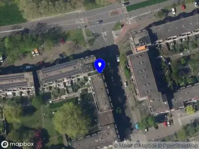 Nieuw bedrijf Pink Panda