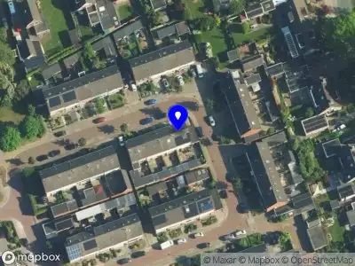 Lois kindercoach met hond