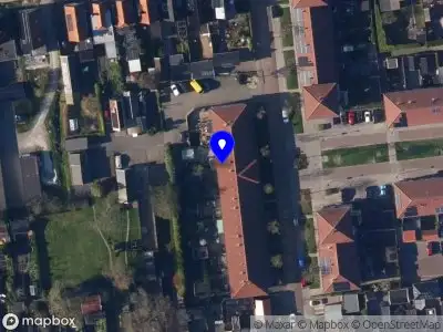 In Vivo Medical Translation & Instruction services