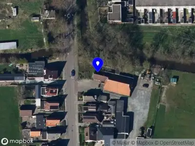 De kwispeldans Groningen