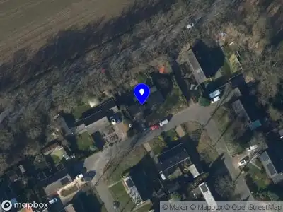 Joyce ter Weele Fine Art