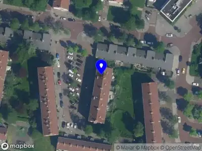 Snel Vlechtwerk Amsterdam