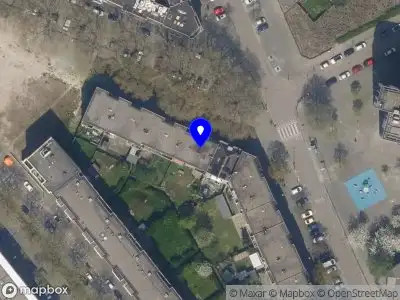 Nieuw bedrijf The Natural Hair Club Nederland