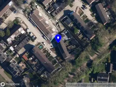 Witjes dienstverlening