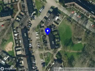 Webmaat Arnhem