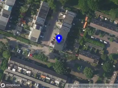 Roots, begeleiding voor bijzondere kinderen