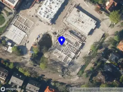 Ingrid Elias Botanical Art