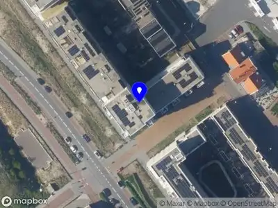 Van der Wolf Tekst, Vertaling en Advies