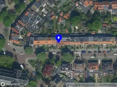 ZYN Tribe DRIEHUIS NH