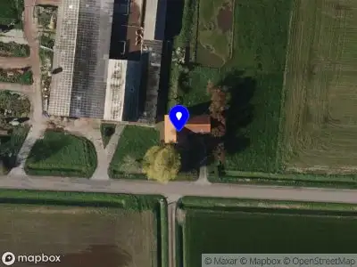 Ton Dingemans Eede