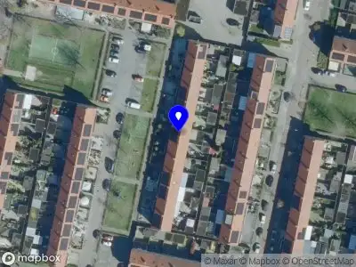 Domenique marketing&sales