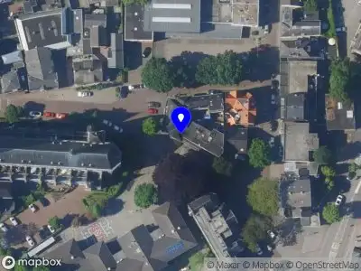 Traditional Japanese Tattoo - Irezumi -