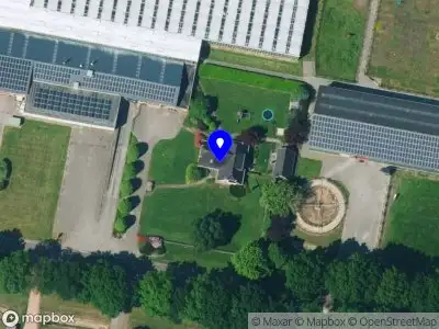 Skimmia Kwekerij Bolwijn B.V.