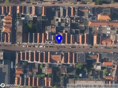 Direct Growth Leiden