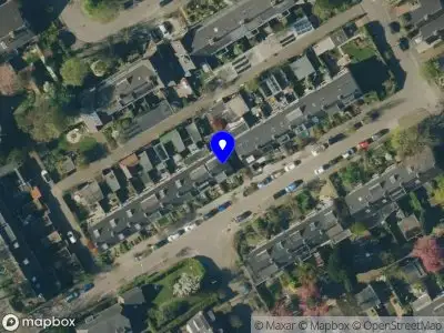 Bomenbieb Bennekom