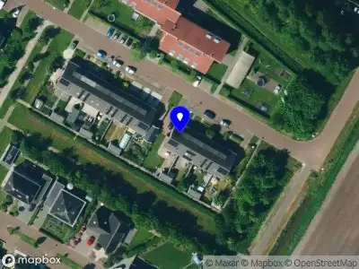 Lotuskring Hummingbird